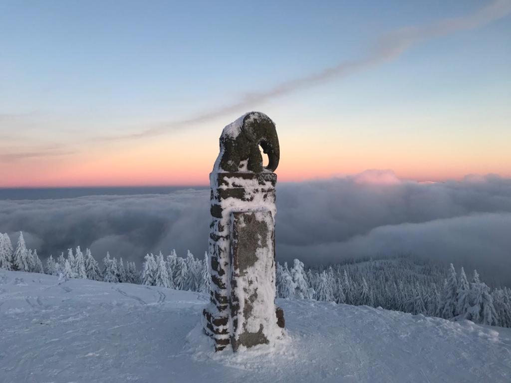 Willa Marianna Lądek-Zdrój エクステリア 写真